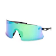 adidas Eyewear Dunamis Pro Heren Multi