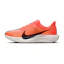 Nike Pegasus Plus Dames Oranje