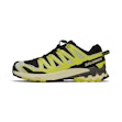 Salomon XA Pro 3D v9 GTX Heren Multi