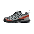 Salomon XA Pro 3D V9 GTX Heren Grijs