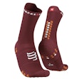 Compressport Pro Racing Socks v4.0 Run High Unisex Rood