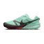 Nike Terra Kiger 10 Heren Groen