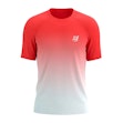 Compressport Performance T-shirt Heren Multi