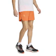 adidas Terrex Xperior CLIMA365 5 Inch Shorts Heren Oranje