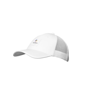 Main image showing a product in the gallery