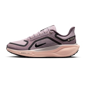 Nike Pegasus 41 GTX Dames Nike Pegasus 41 GTX Dames
