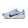Nike Pegasus Plus dames Blauw