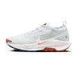 Nike Pegasus Trail 5 GTX dames Wit