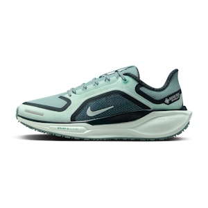 Nike Pegasus 41 GTX Dames Nike Pegasus 41 GTX Dames