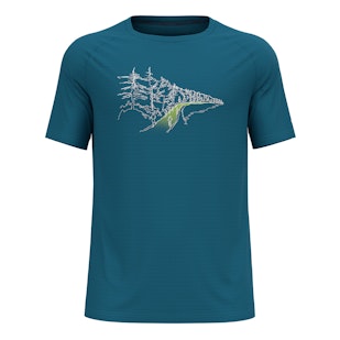 Main image showing a product in the gallery