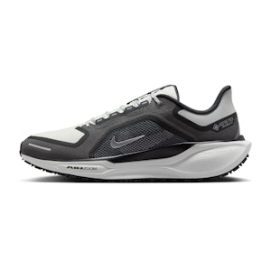 Nike Pegasus 41 GTX Heren Nike Pegasus 41 GTX Heren