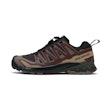 Salomon XA Pro 3D v9 GTX Heren Bruin