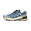Salomon XA Pro 3D V9 GTX Heren Blauw